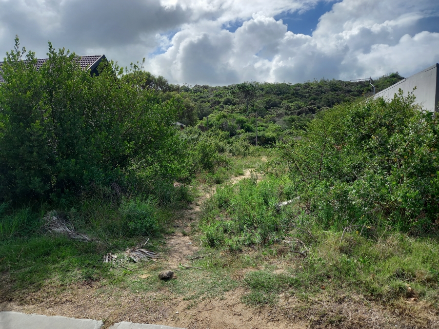 0 Bedroom Property for Sale in Kleinkrantz Western Cape